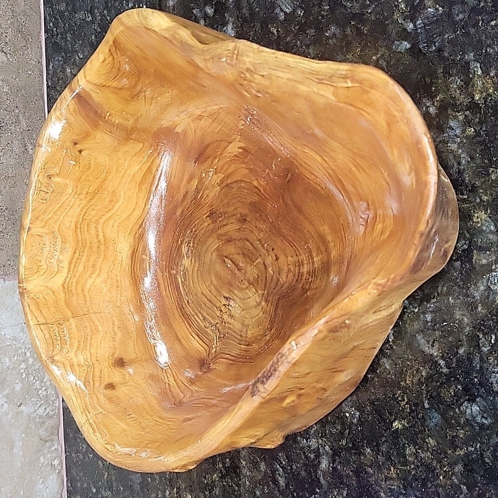 Hollow Carved Wood Stump Catchall Bowl Bin 7" Wide 3" Tall Burl Wood